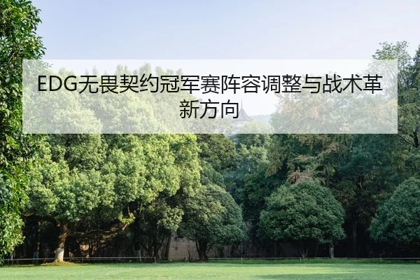 EDG无畏契约冠军赛阵容调整与战术革新方向